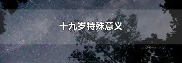 十九岁特殊意义