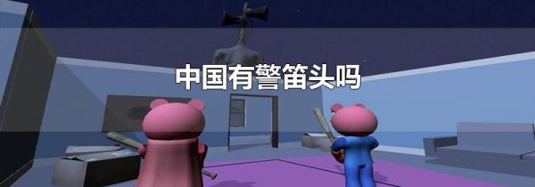 中国有警笛头吗
