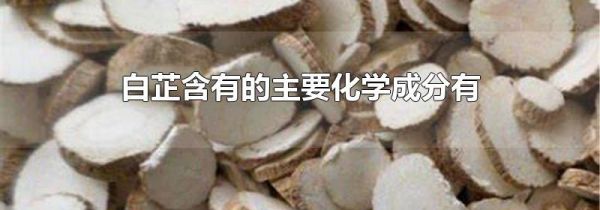 白芷含有的主要化学成分有