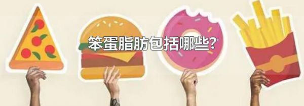 笨蛋脂肪包括哪些?