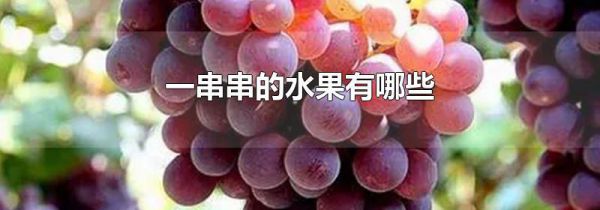 一串串的水果有哪些