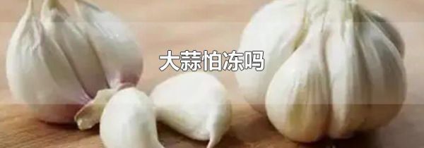 大蒜怕冻吗