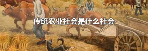 传统农业社会是什么社会