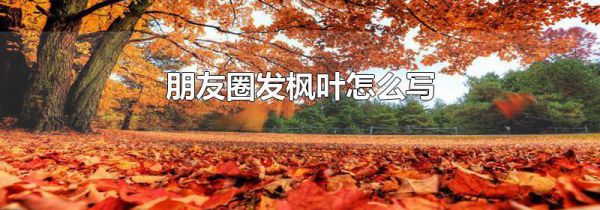 朋友圈发枫叶怎么写