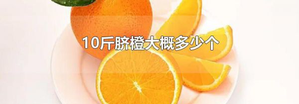 10斤脐橙大概多少个