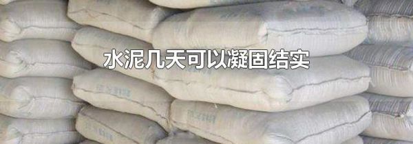 水泥几天可以凝固结实