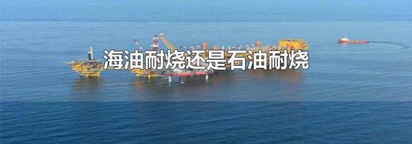 海油耐烧还是石油耐烧