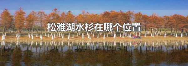 松雅湖水杉在哪个位置