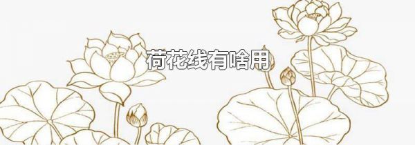 荷花线有啥用