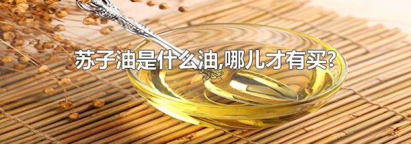 苏子油是什么油,哪儿才有买?
