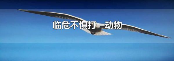 临危不惧打一动物