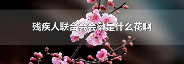 残疾人联合会会徽是什么花啊