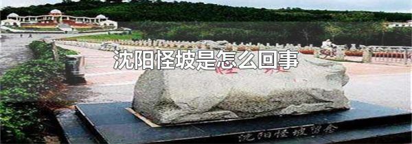 沈阳怪坡是怎么回事