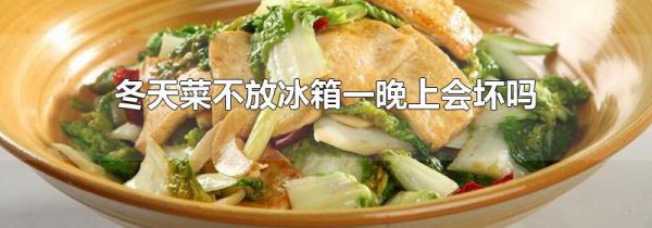 冬天菜不放冰箱一晚上会坏吗