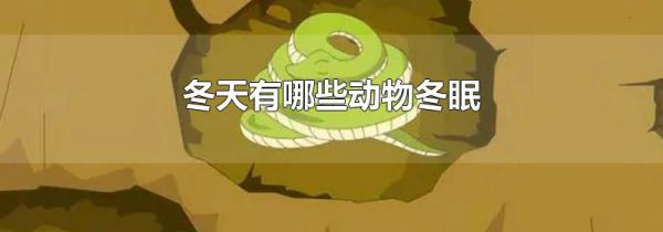 冬天有哪些动物冬眠