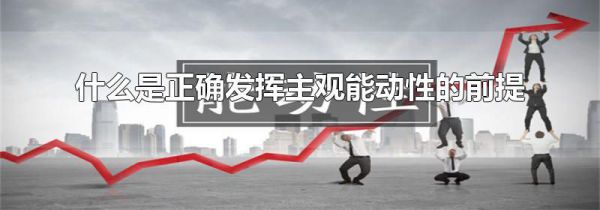 什么是正确发挥主观能动性的前提