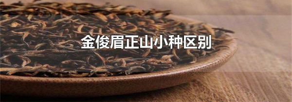 金俊眉正山小种区别