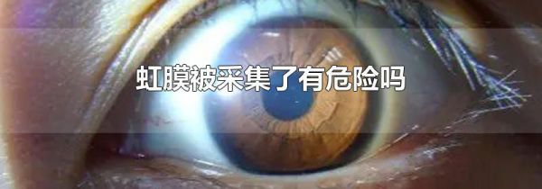 虹膜被采集了有危险吗