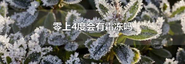 零上4度会有霜冻吗