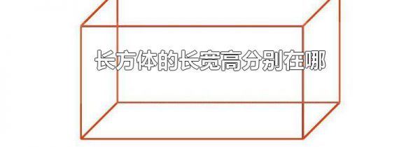 长方体的长宽高分别在哪