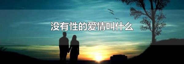 没有性的爱情叫什么