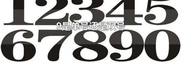 9是单号还是双号