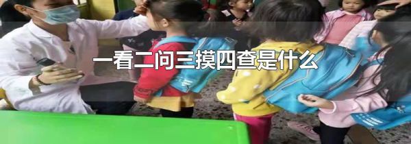 一看二问三摸四查是什么