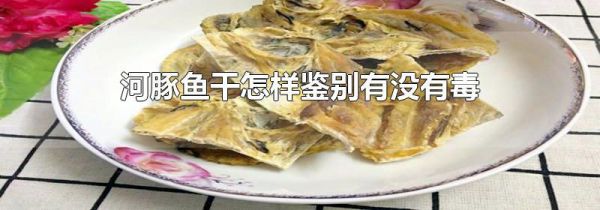 河豚鱼干怎样鉴别有没有毒