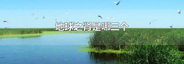 地球之肾是哪三个