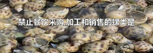 禁止餐饮采购,加工和销售的螺类是
