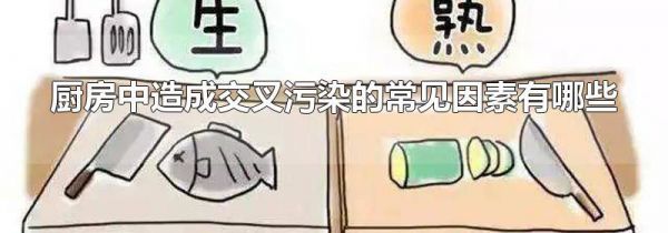 厨房中造成交叉污染的常见因素有哪些