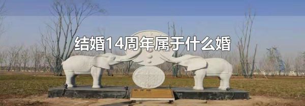 结婚14周年属于什么婚