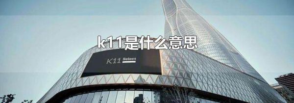k11是什么意思