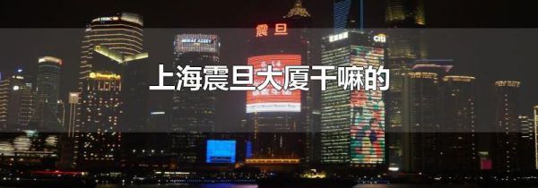 上海震旦大厦干嘛的