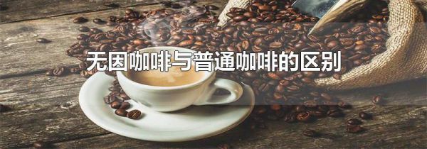 无因咖啡与普通咖啡的区别