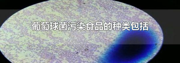 葡萄球菌污染食品的种类包括