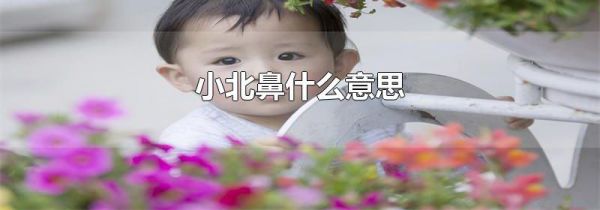 小北鼻什么意思