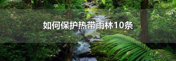 如何保护热带雨林10条