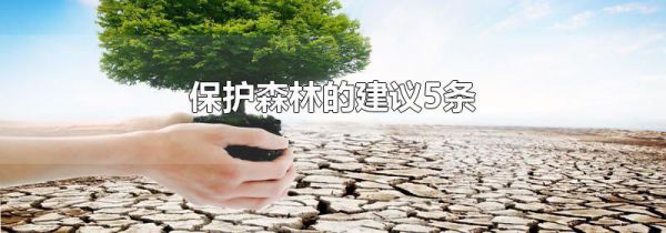 保护森林的建议5条