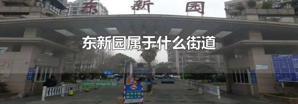 东新园属于什么街道