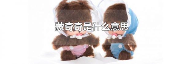 蒙奇奇是什么意思