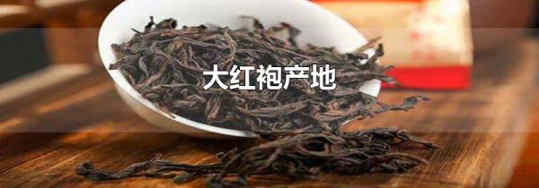 大红袍产地