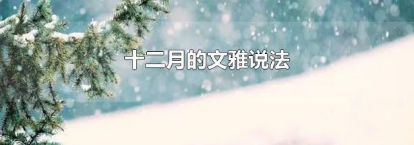 十二月的文雅说法