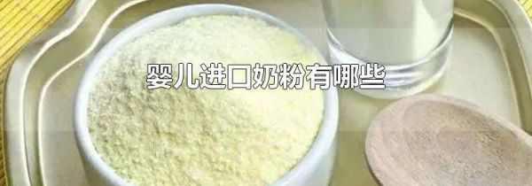婴儿进口奶粉有哪些
