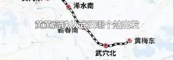 黄黄高铁从武汉哪个站出发