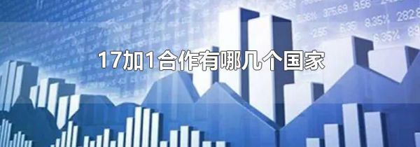 17加1合作有哪几个国家