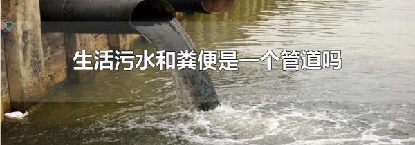 生活污水和粪便是一个管道吗
