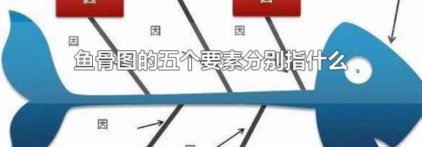 鱼骨图的五个要素分别指什么