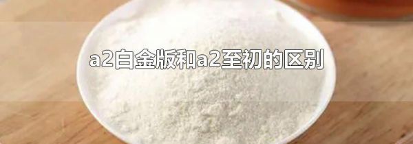 a2白金版和a2至初的区别