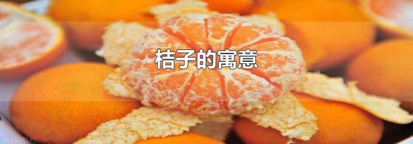桔子的寓意